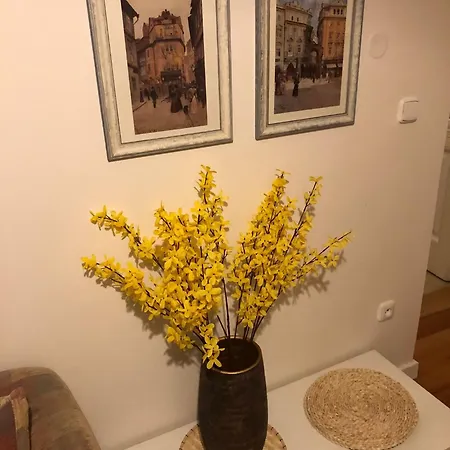 Apartamento Janlouis